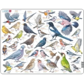 Garten-Vögel – ZOO4-V2