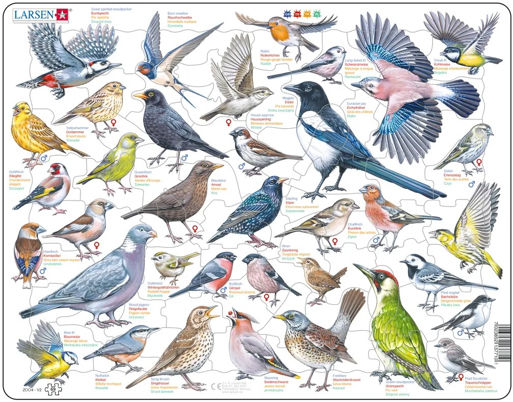 Garten-Vögel – ZOO4-V2