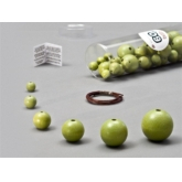 Perlen Pea Green Verpackung und Inhalt