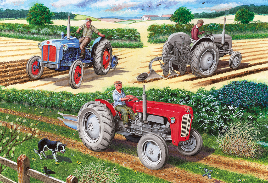 The Ploughing Match Puzzle