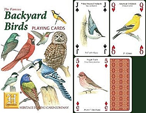 Schachtel und Inhalt der Spielkarten Backyard Birds