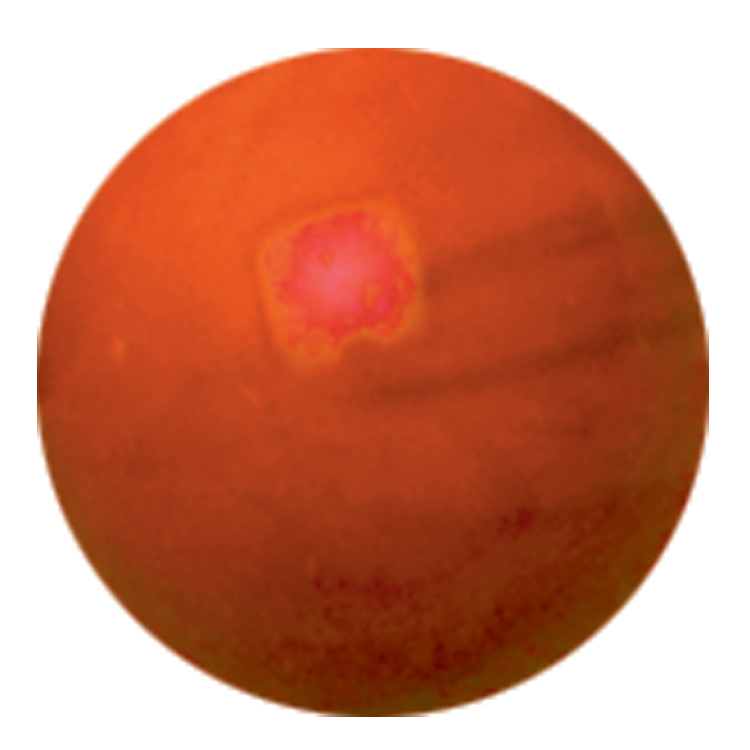 Murmel Opal Orange