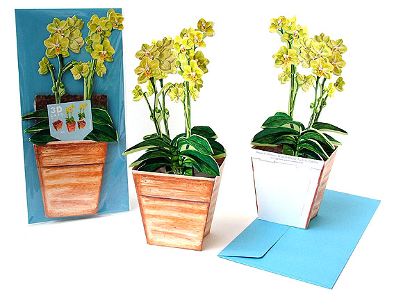 3D Karte Orchidee in der Verpackung und Zusammengebaut von zwei Seiten