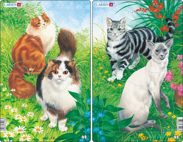 Rahmenpuzzle Katzen Midi