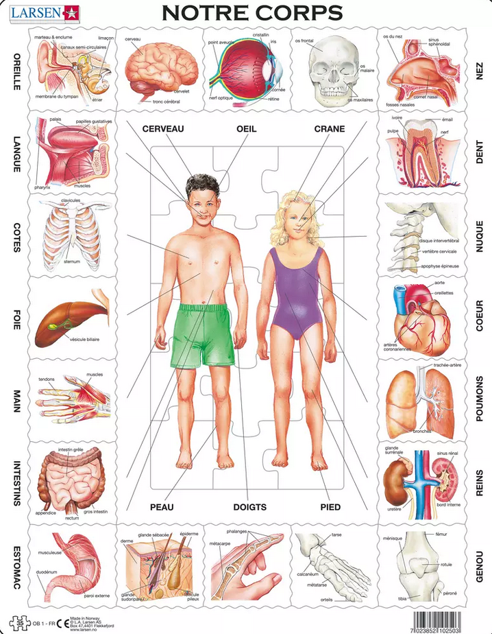 Rahmenpuzzle notre corps