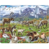 Rahmenpuzzle Flora und Fauna der arktischen Tundra