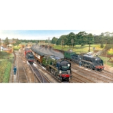 New Forest Junction Puzzle