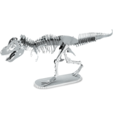 Zusammengebautes T-Rex Skelet