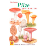 Schachtel der Spielkarten Pilze