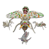 Puzzlebook – Insects