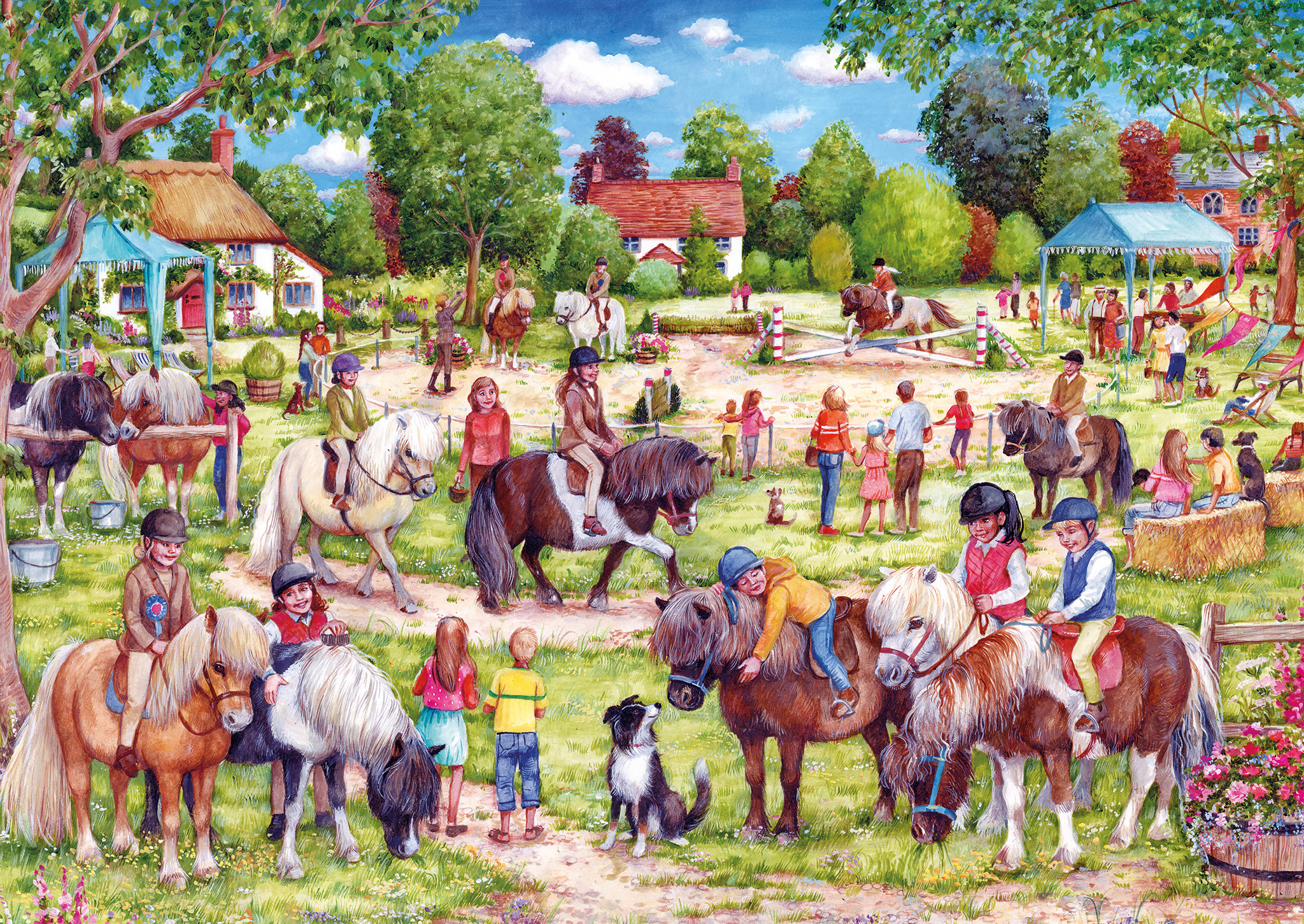 Shetland Pony Club