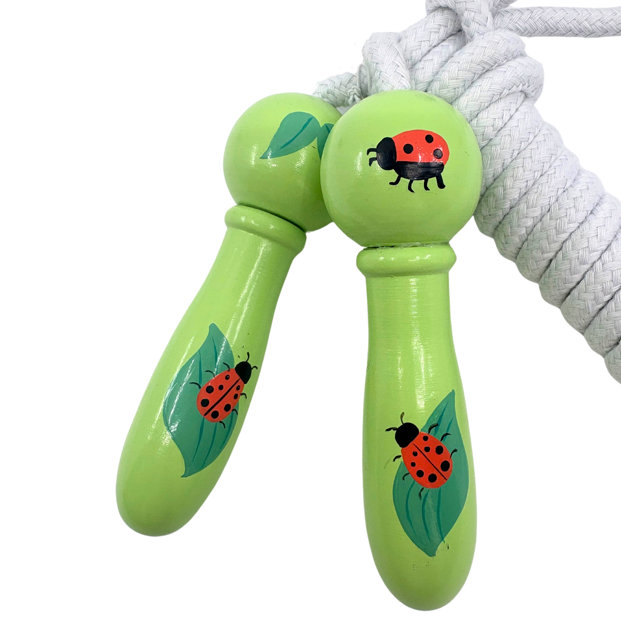 Ladybird Skipping Rope