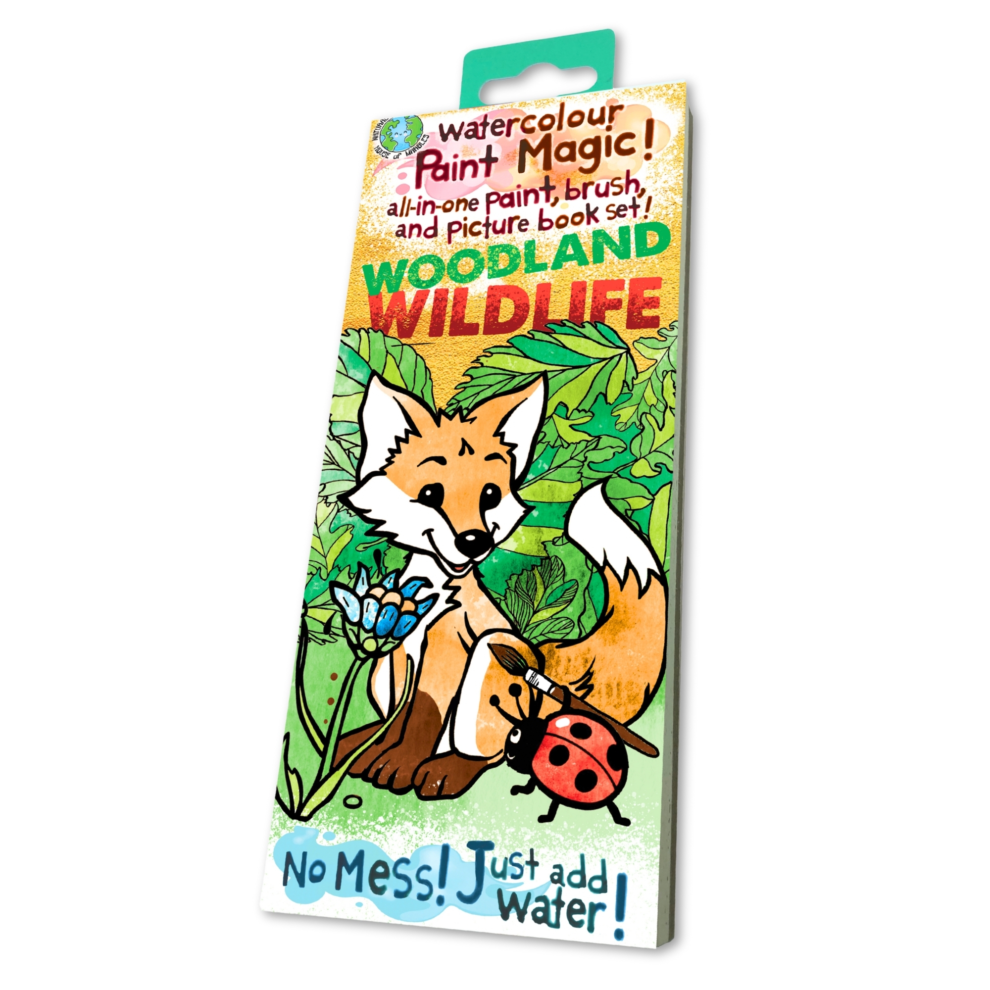 Paint Magic – Woodland Wildlife
