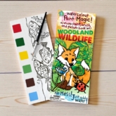 Paint Magic – Woodland Wildlife