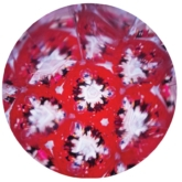Mini Liquid Stick Kaleidoskop – Groovy – Red Dots