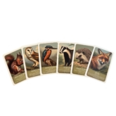 Wildlife “Pairs” Card Game