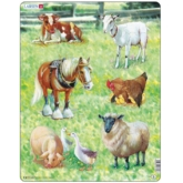 Hoftiere – X8