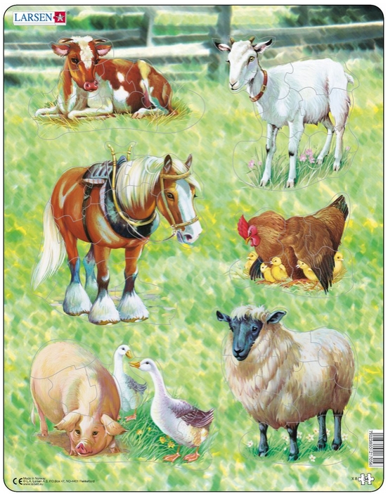 Hoftiere – X8