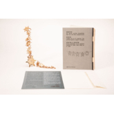 24 Sterne gold – 3D Deko Grusskarte