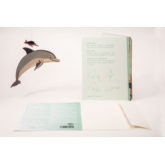 Delfin – 3D Deko Grusskarte