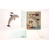 Delfin – 3D Deko Grusskarte