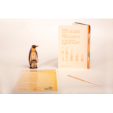 Pinguin – 3D Deko Grusskarte