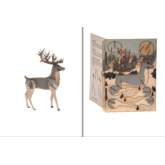 Rentier – 3D Deko Grusskarte