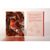 Rotkelchchen – 3D Deko Grusskarte