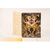 Schmetterling – 3D Deko Grusskarte