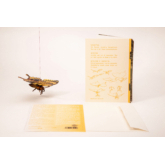 Schmetterling – 3D Deko Grusskarte