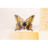 Schmetterling – 3D Deko Grusskarte