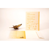 Schmetterling – 3D Deko Grusskarte
