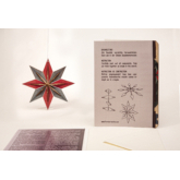 Weihnachtsstern – 3D Deko Grusskarte