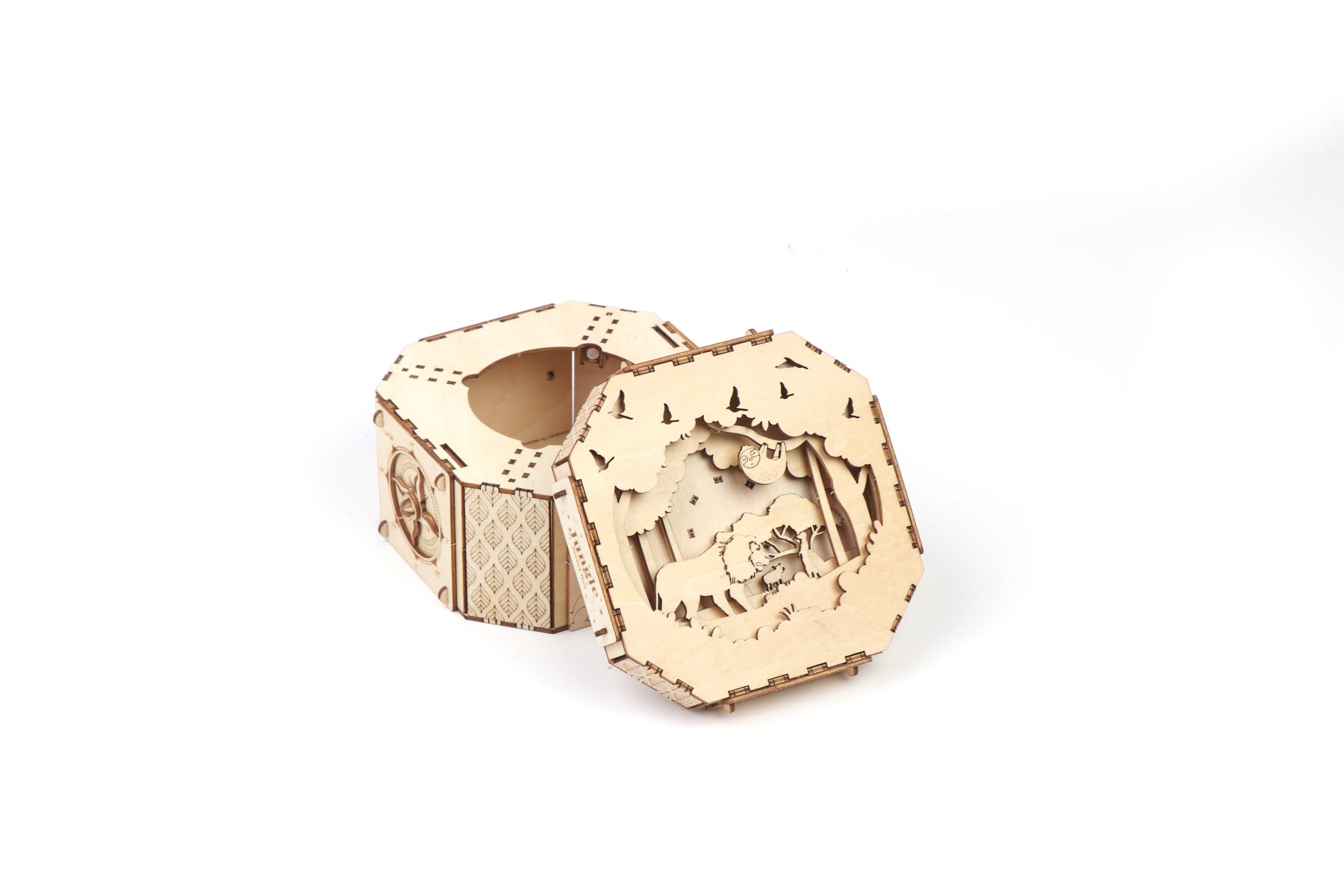 Secret Escape Box – DIY Jungle Secret Treasure Box