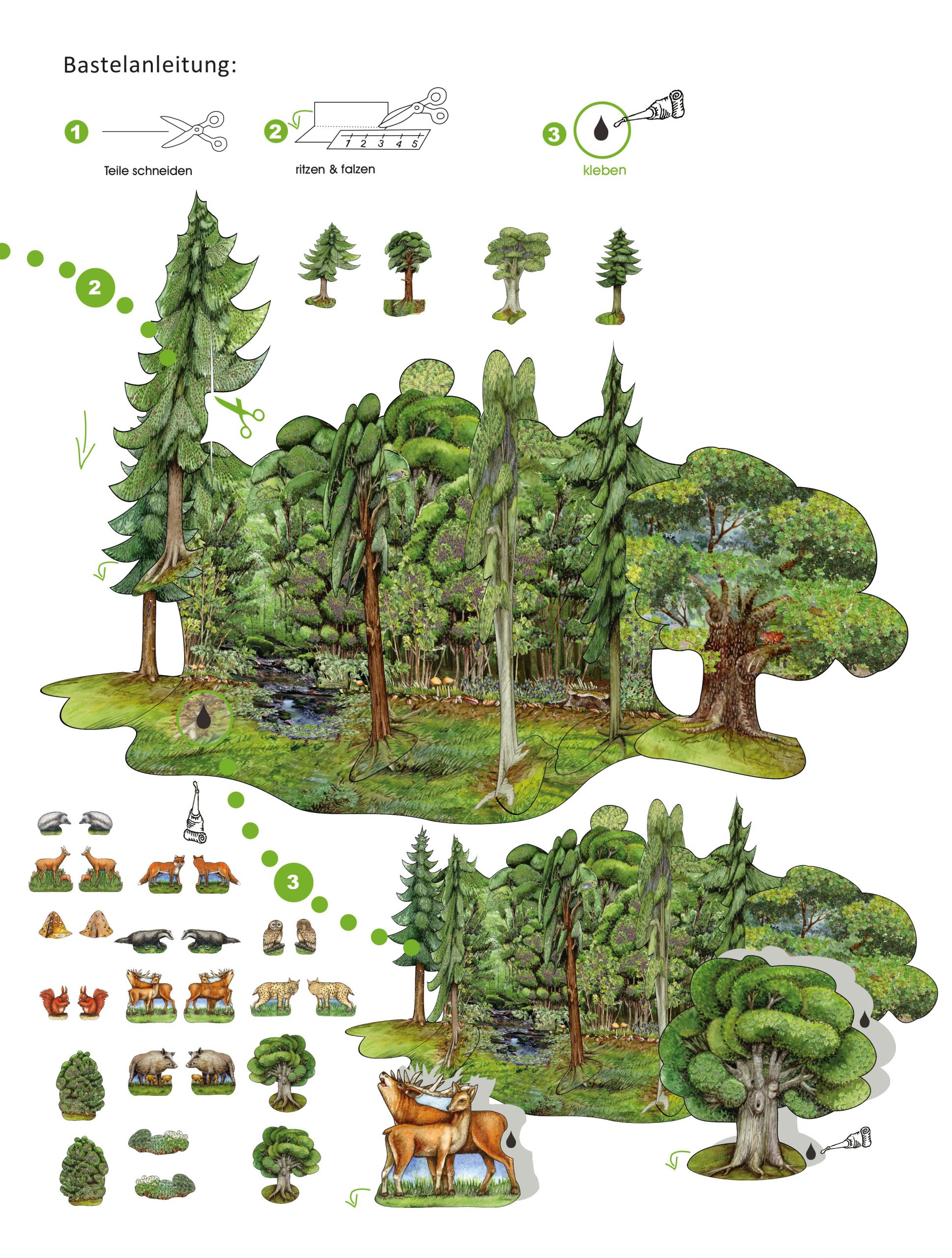 Wald – Bastelbogen