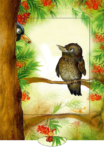 Lebende Karten – Amsel