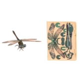 Libelle – 3D Deko Grusskarte