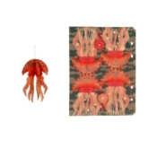 Qualle – 3D Deko Grusskarte