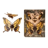 Schmetterling – 3D Deko Grusskarte