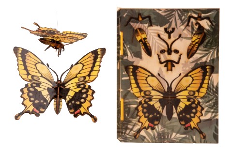 Schmetterling – 3D Deko Grusskarte