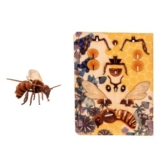 Biene – 3D Deko Grusskarte