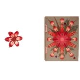 Blüte – 3D Deko Grusskarte