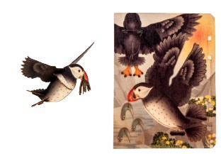 Papageientaucher – 3D Deko Grusskarte