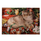 All Wrapped Up – 500