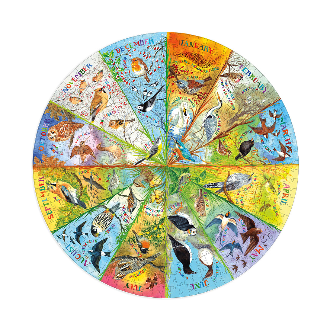 Birds of the Year – 500 rund