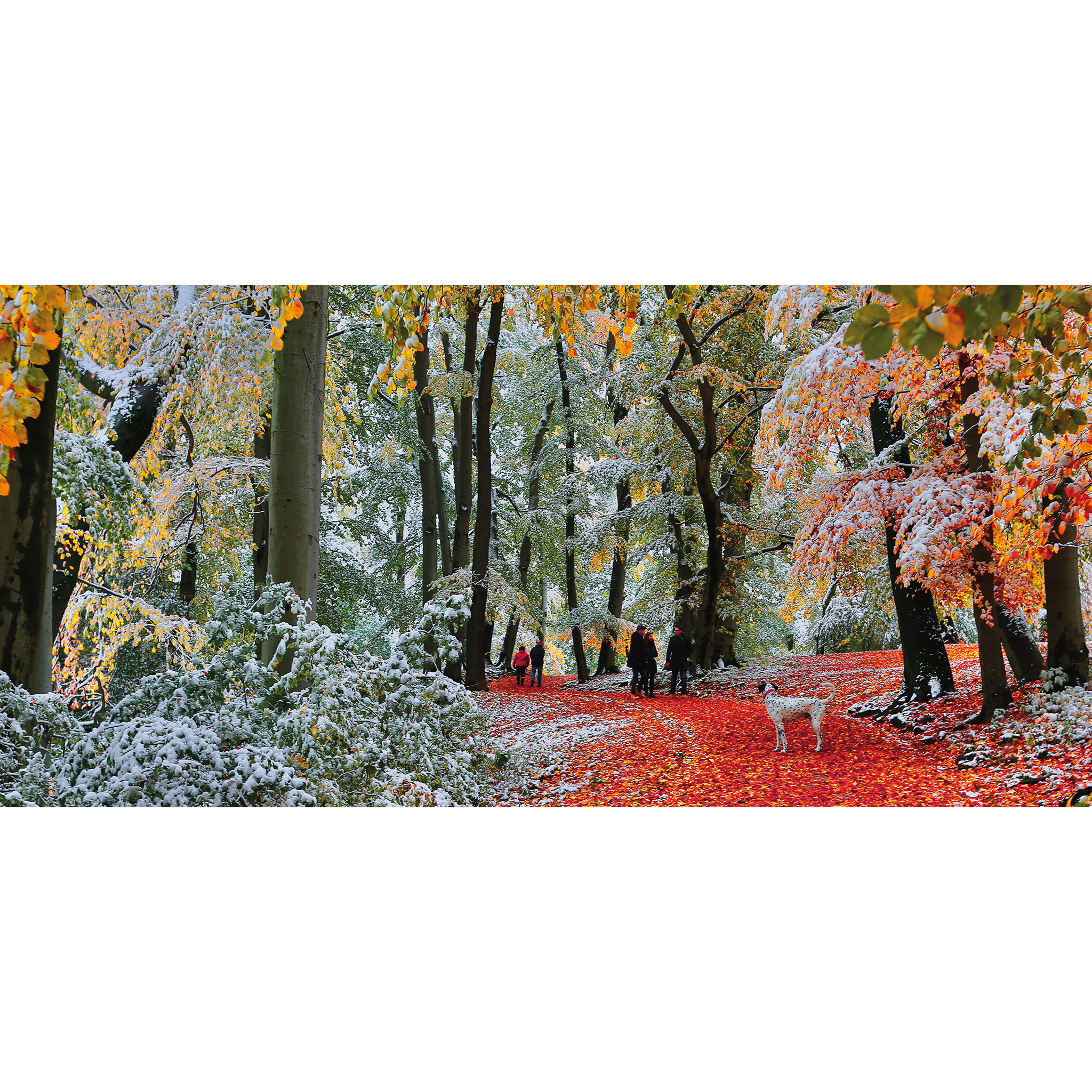 Snow in Autumn – 636