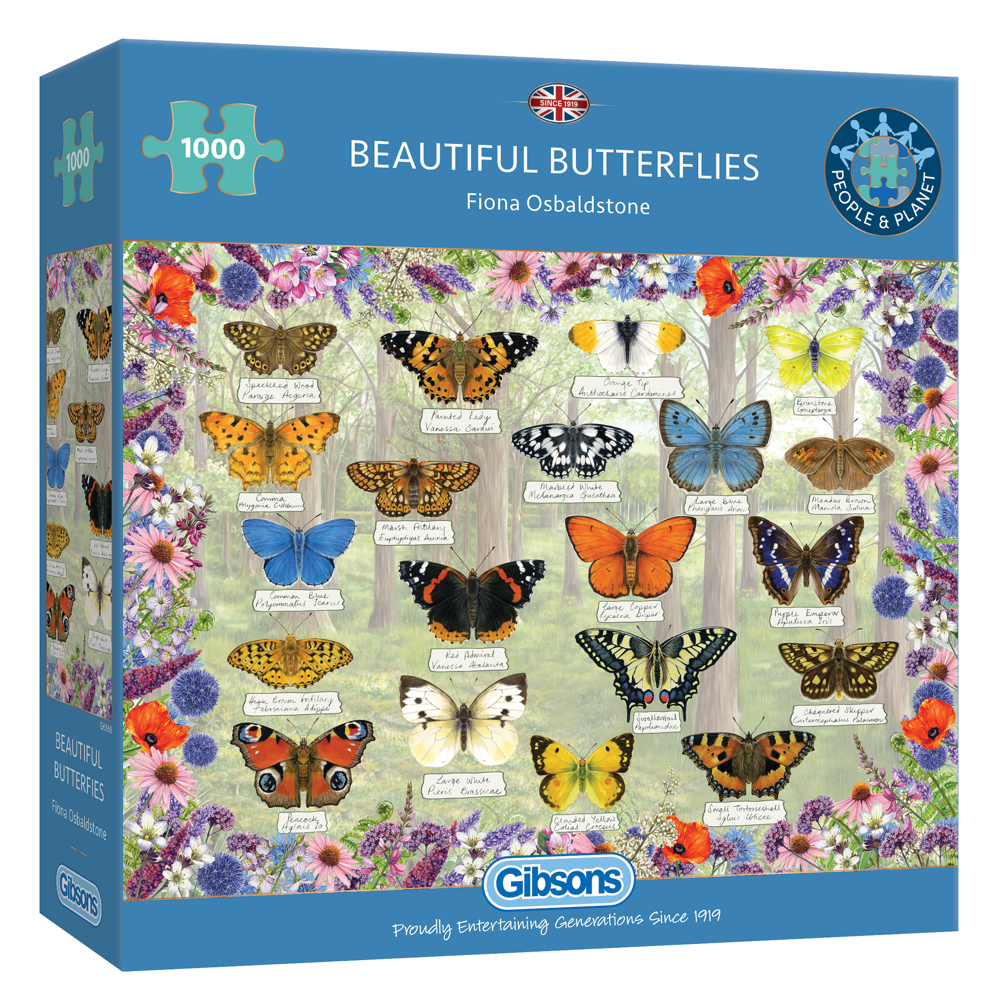 Beautiful Butterflies – 1000