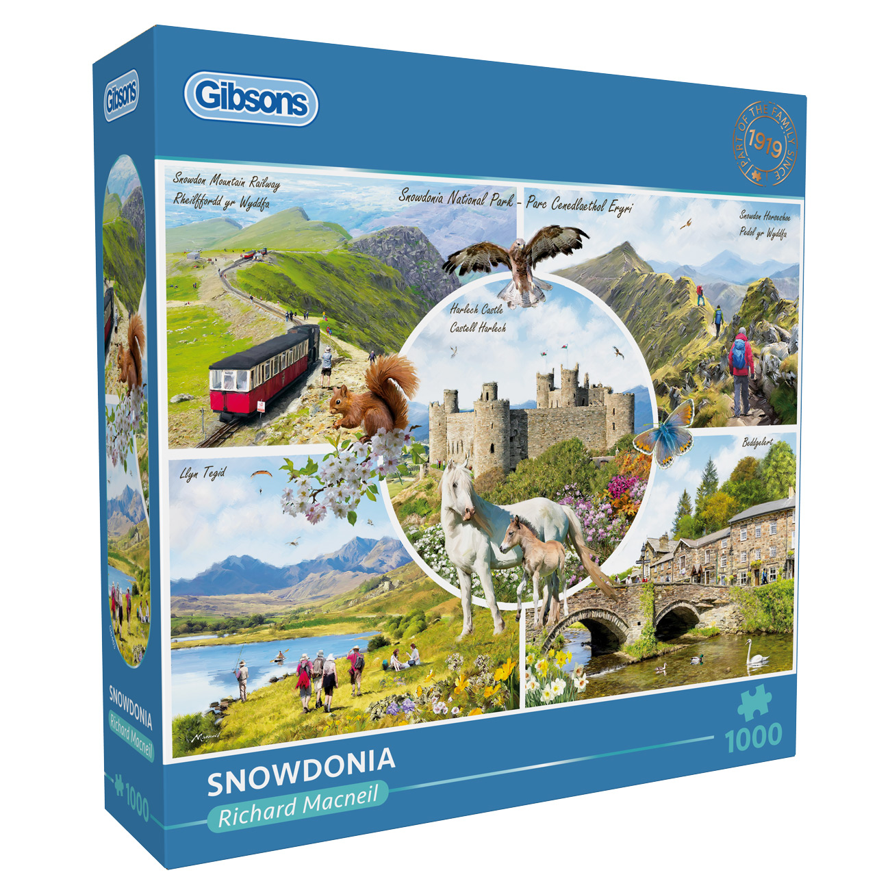 Snowdonia – 1000
