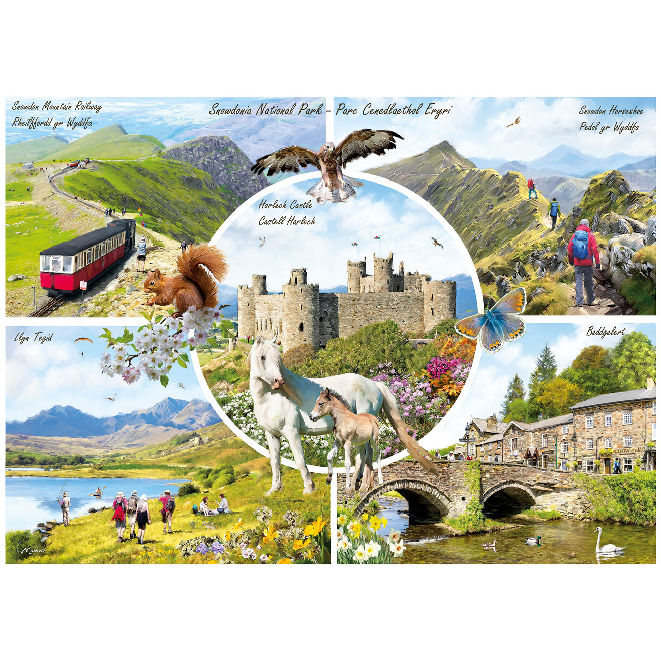 Snowdonia – 1000