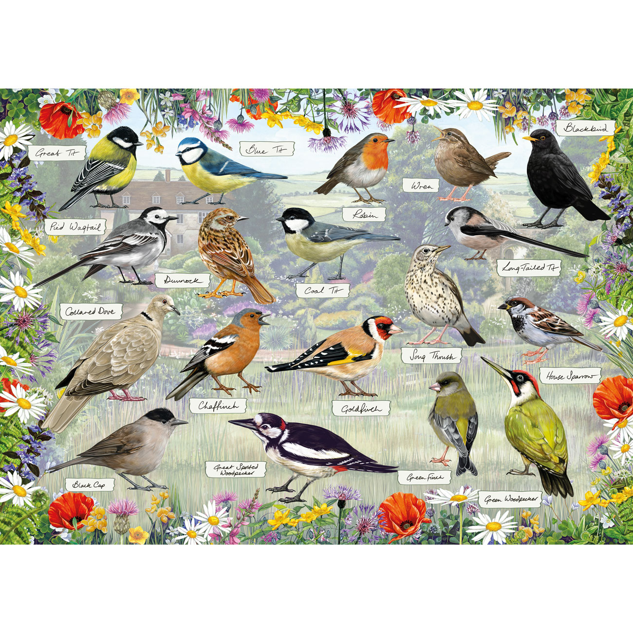Blissful Birds – 1000